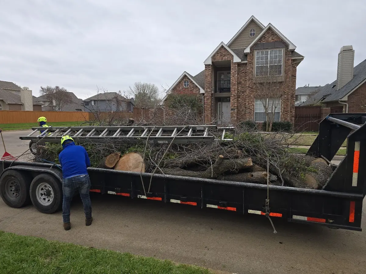 Expert Lot Clearing with proper safety equipment in Diablo